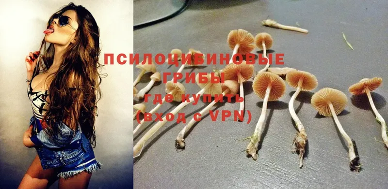 Галлюциногенные грибы Magic Shrooms  Горбатов 